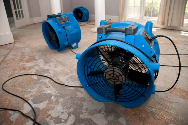 Best Water damage restoration near me  in Deland Southwest, FL