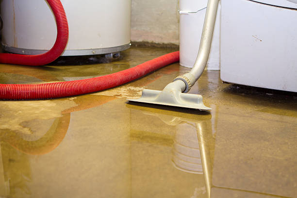 Best Ceiling water damage repair  in Deland Southwest, FL